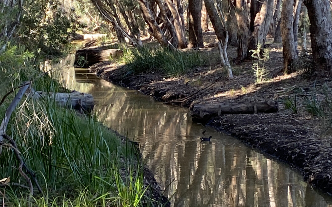 Lake Galup (Monger) Reserve Swale Refurbishment